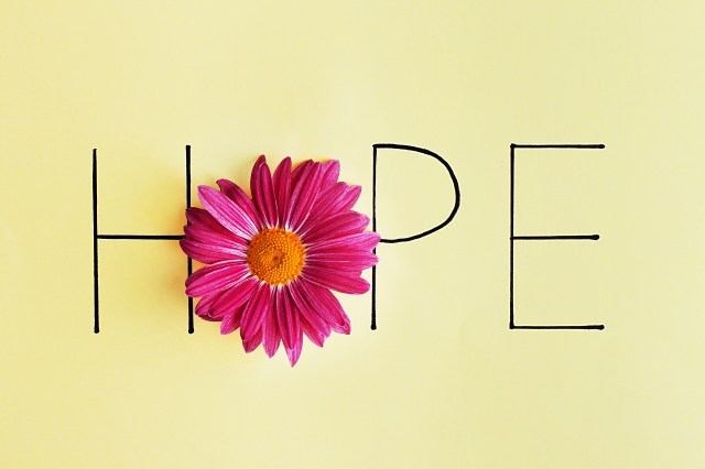 Inscription hope with pink flower on green background